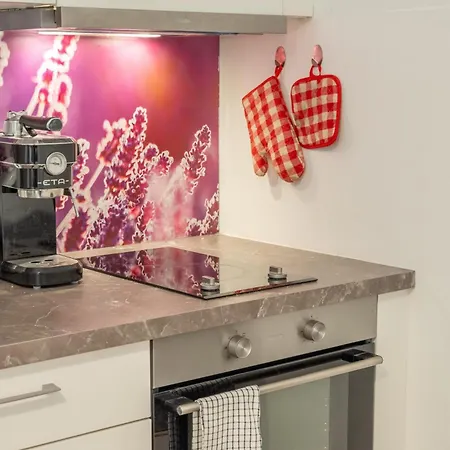 Homely L 5 Min To Airport Express,train Station With Self Check In شقة *